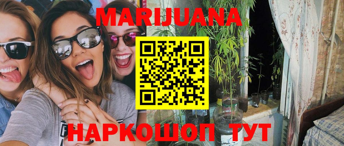 Бошки Шишки семена  Канабис семена  Бошки марихуана сатива  Вход с VPN  Конопля индика  Щёлково 